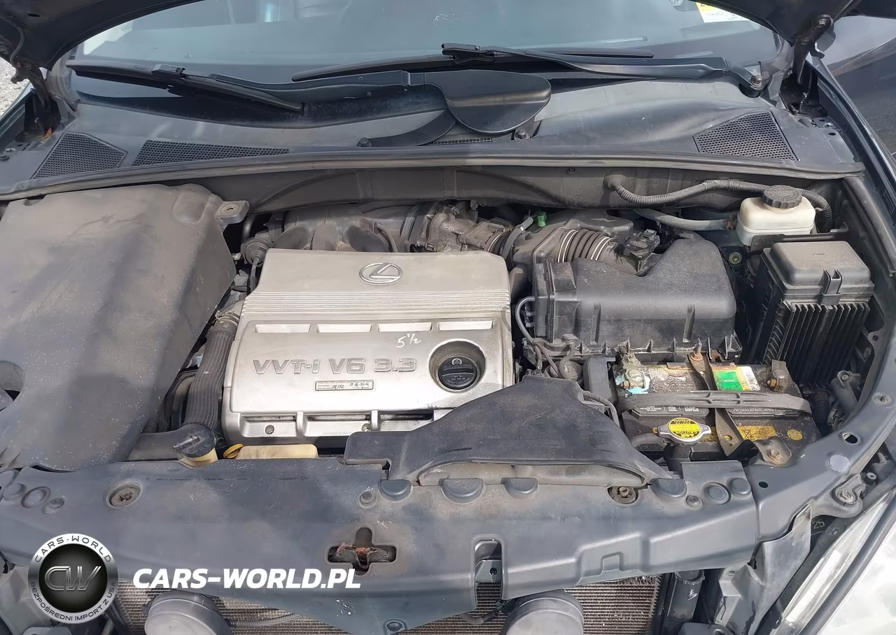 2005 Lexus Rx 330 VIN:2T2HA31U15C082171 - 10