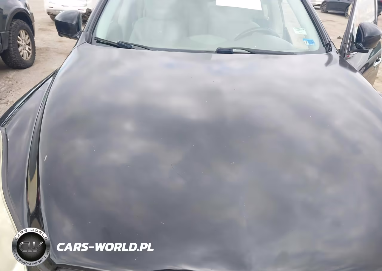 2009 Infiniti Ex35 Journey VIN:JNKAJ09F19M950980 - 10