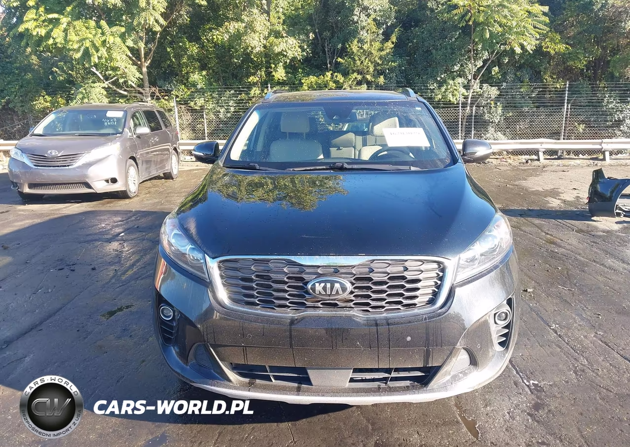 2019 Kia Sorento 3.3L Ex VIN:5XYPHDA55KG498718 - 13