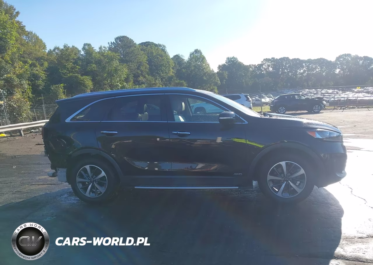 2019 Kia Sorento 3.3L Ex VIN:5XYPHDA55KG498718 - 14