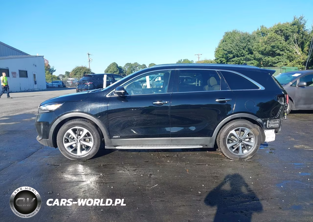 2019 Kia Sorento 3.3L Ex VIN:5XYPHDA55KG498718 - 15