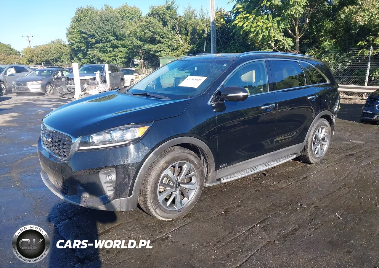 2019 Kia Sorento 3.3L Ex VIN:5XYPHDA55KG498718 - 2