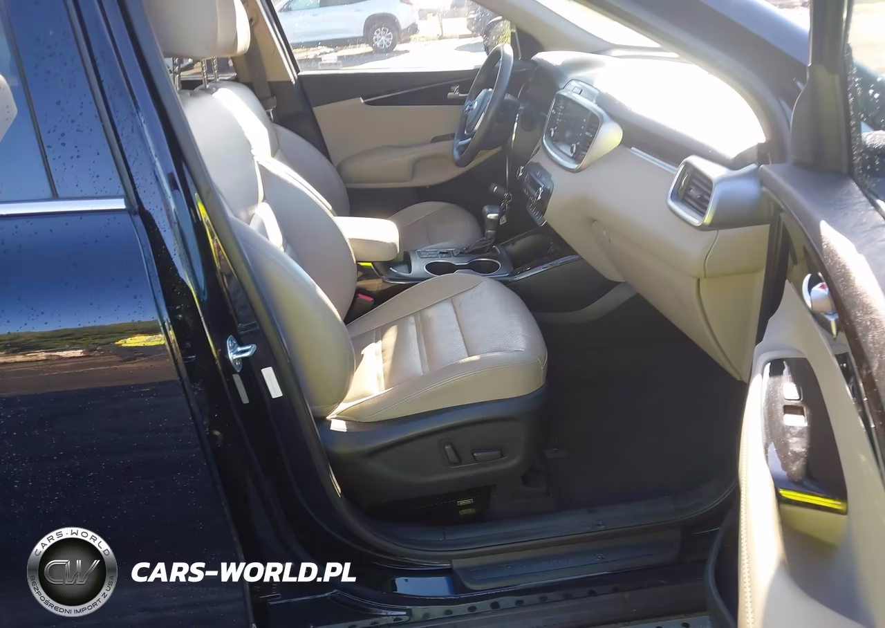 2019 Kia Sorento 3.3L Ex VIN:5XYPHDA55KG498718 - 5