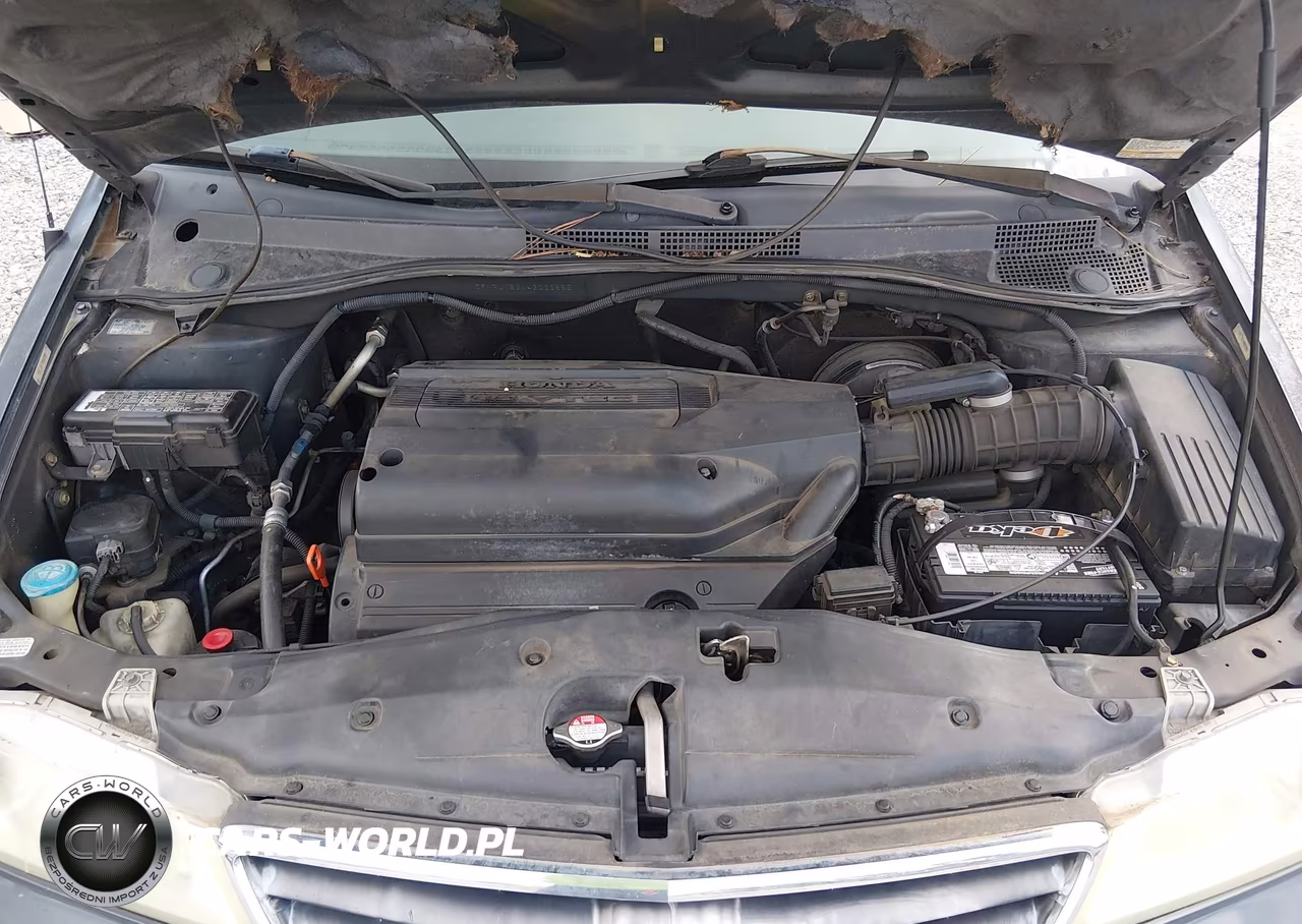 2004 Honda Odyssey Ex VIN:5FNRL186X4B022852 - 10