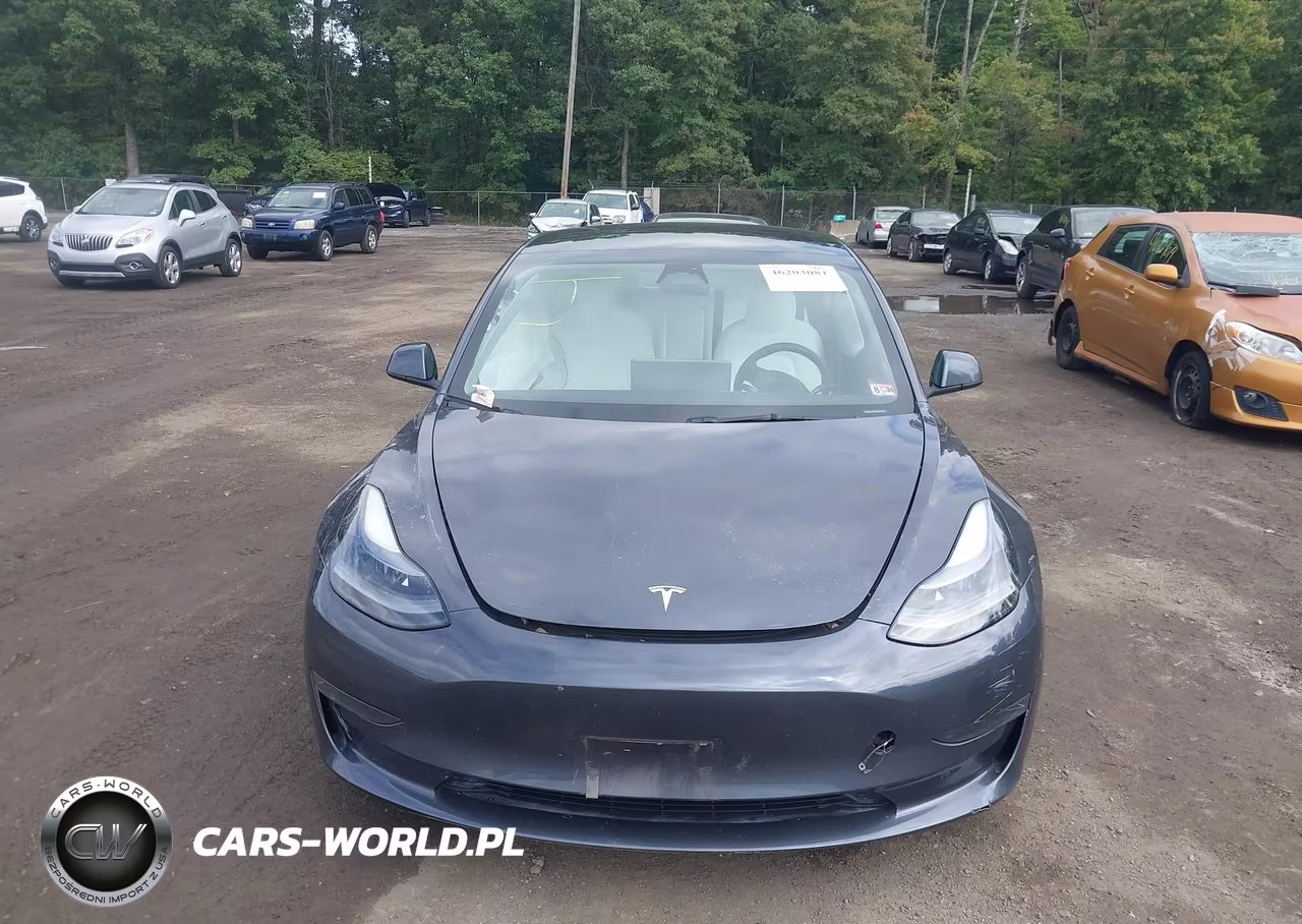 2023 Tesla Model 3 Rear-Wheel Drive VIN:5YJ3E1EA0PF622650 - 11