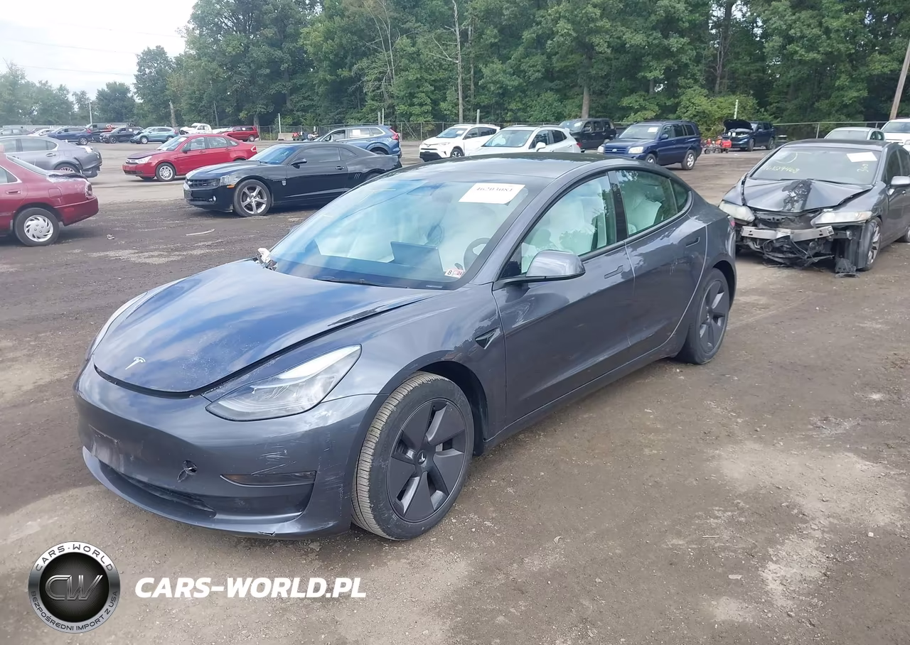 2023 Tesla Model 3 Rear-Wheel Drive VIN:5YJ3E1EA0PF622650 - 2