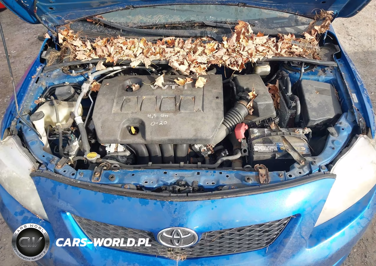 2010 Toyota Corolla Le VIN:1NXBU4EE4AZ235743 - 10