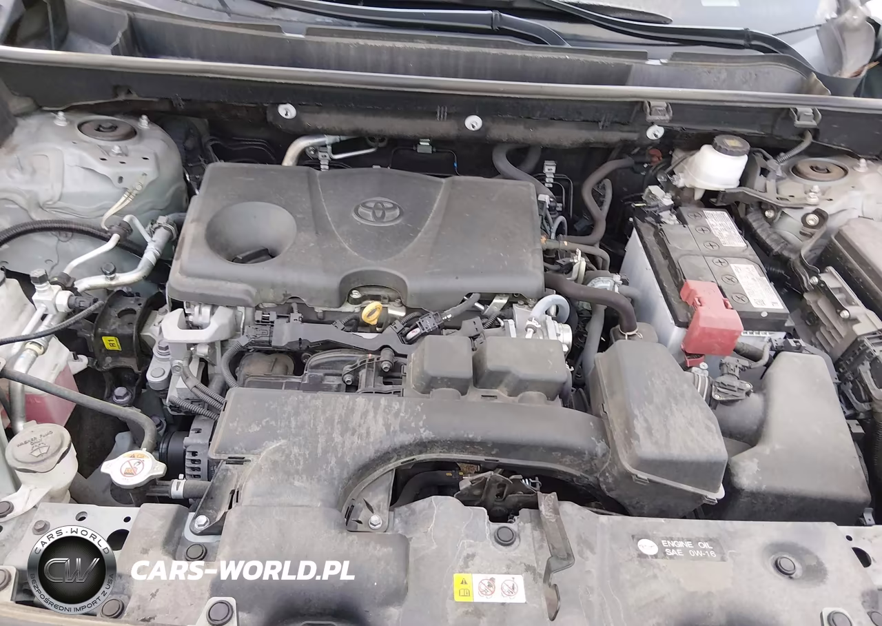 2023 Toyota Rav4 Xle Premium VIN:2T3C1RFV9PW252675 - 10