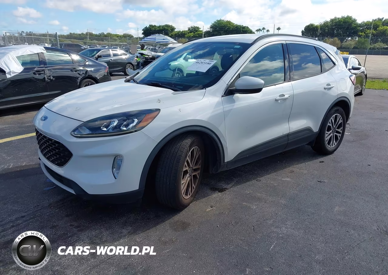 2020 Ford Escape Sel VIN:1FMCU0H69LUA23814 - 2