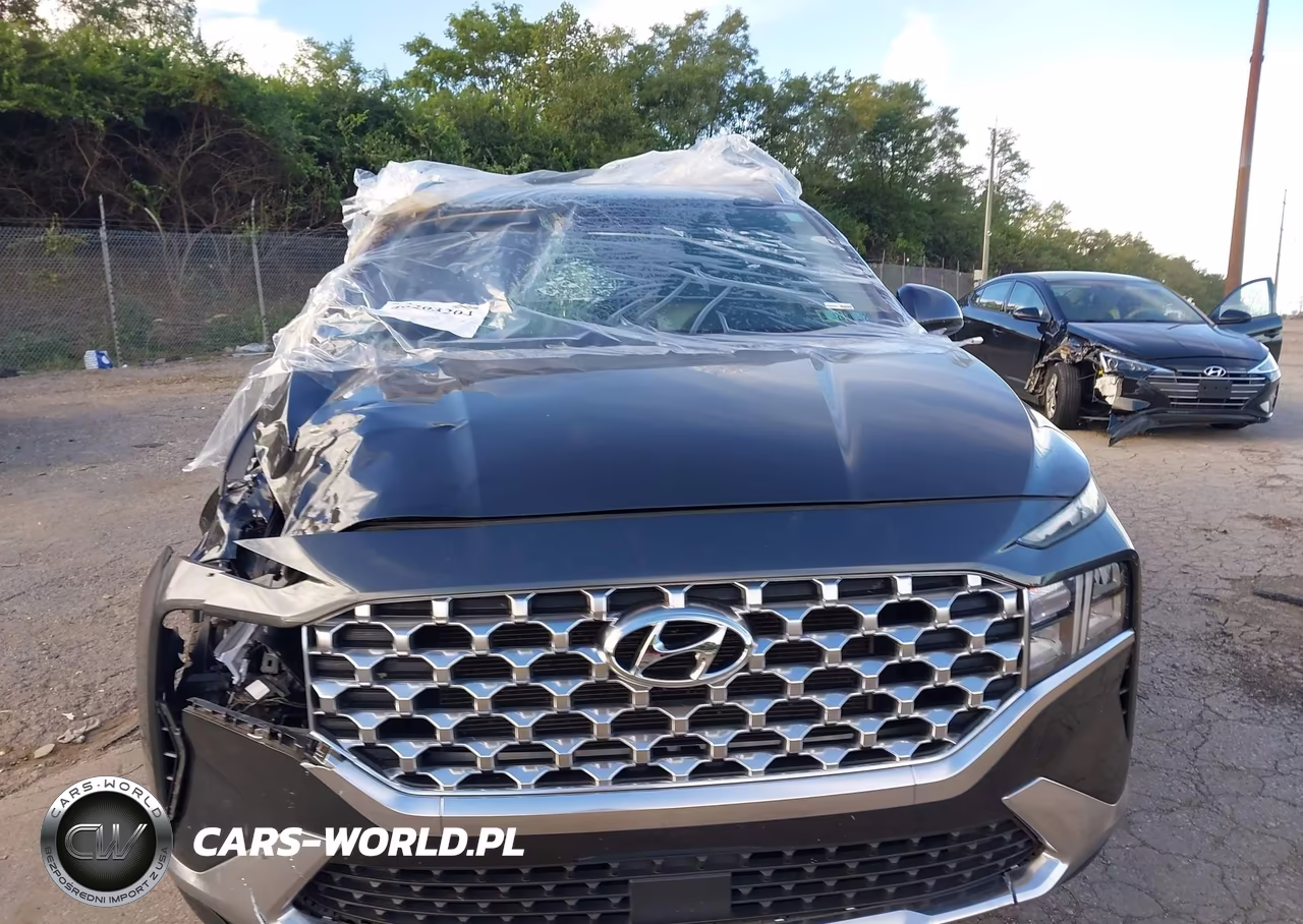 2021 Hyundai Santa Fe Sel VIN:5NMS2DAJ0MH367701 - 13