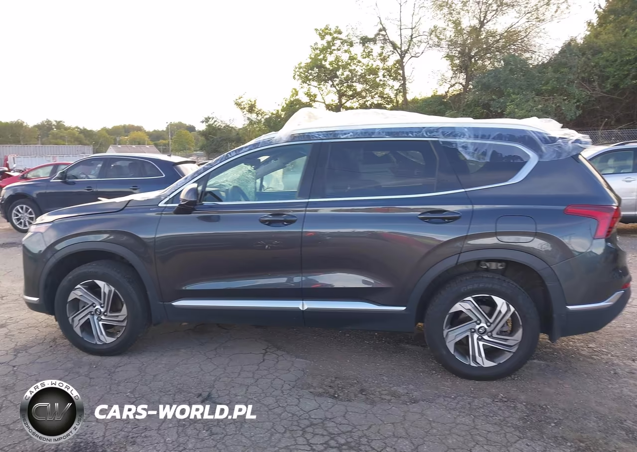 2021 Hyundai Santa Fe Sel VIN:5NMS2DAJ0MH367701 - 15