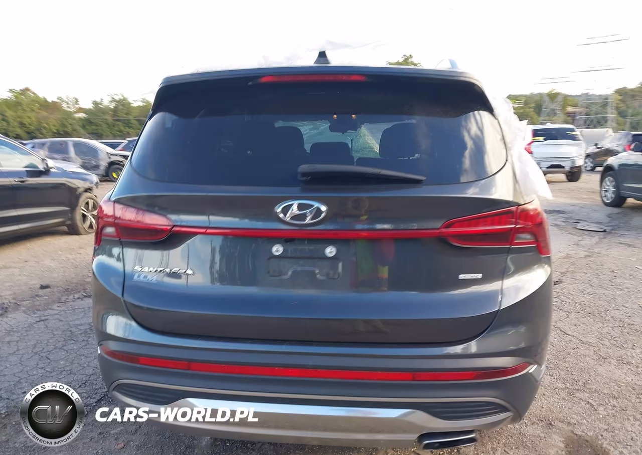 2021 Hyundai Santa Fe Sel VIN:5NMS2DAJ0MH367701 - 17