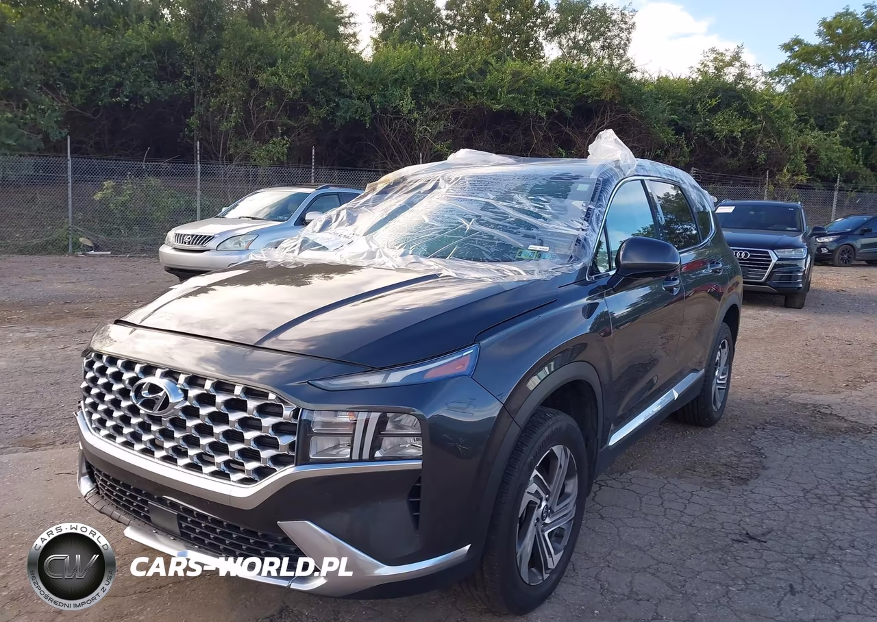 2021 Hyundai Santa Fe Sel VIN:5NMS2DAJ0MH367701 - 2