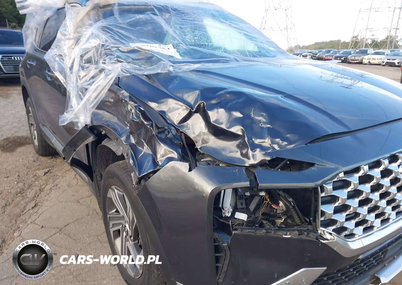2021 Hyundai Santa Fe Sel VIN:5NMS2DAJ0MH367701 - 6