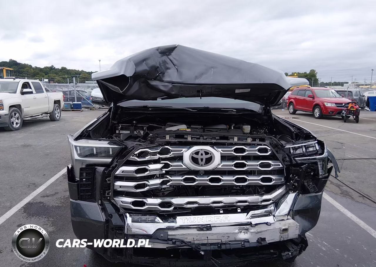 2022 Toyota Tundra 2Wd 1794 Edition VIN:5TFMA5AB8NX014982 - 12