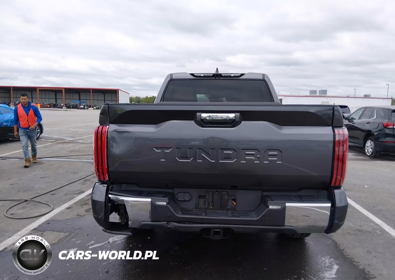2022 Toyota Tundra 2Wd 1794 Edition VIN:5TFMA5AB8NX014982 - 16