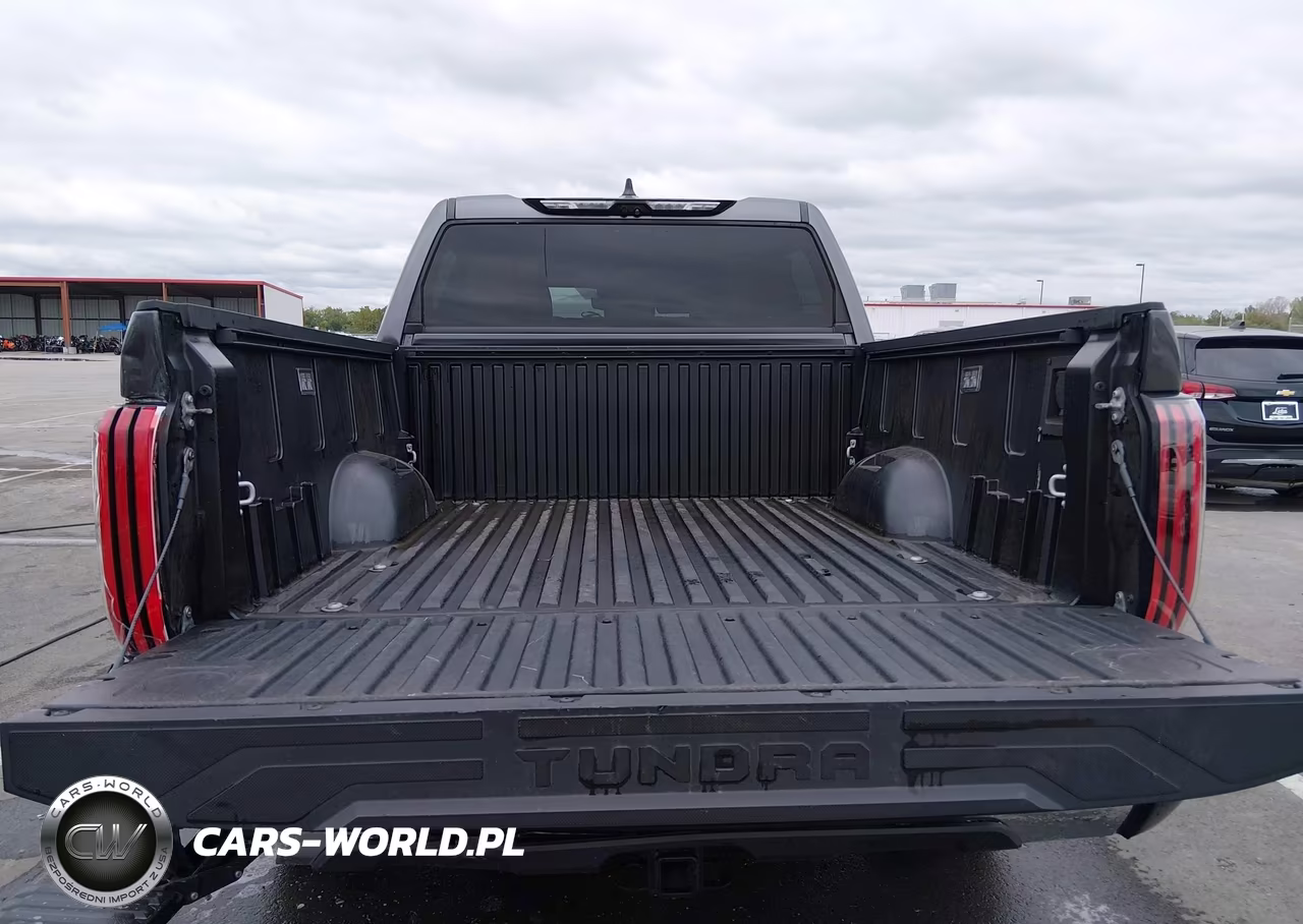 2022 Toyota Tundra 2Wd 1794 Edition VIN:5TFMA5AB8NX014982 - 17