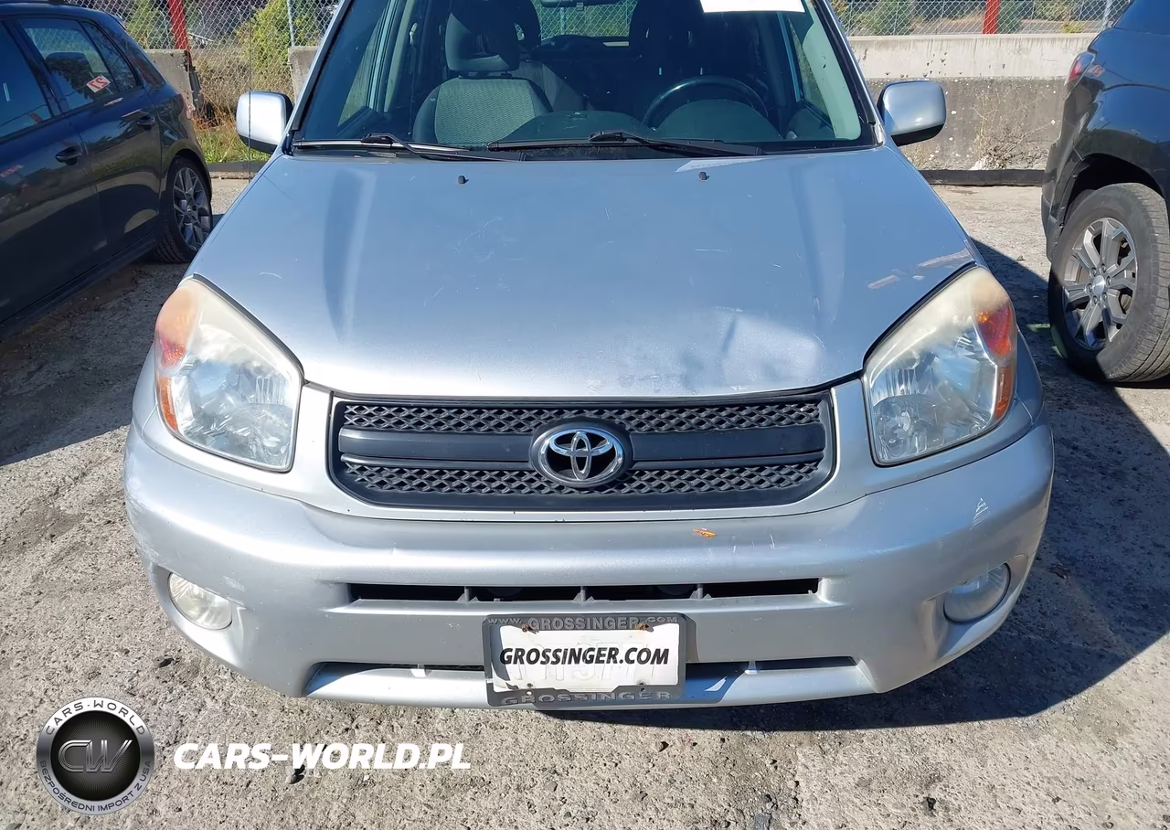 2005 Toyota Rav4 VIN:JTEGD20V950061165 - 6