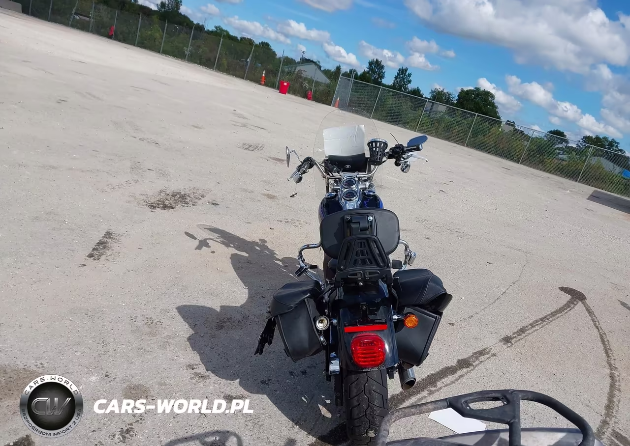 2018 Harley-Davidson Fxlr Low Rider VIN:1HD1YNJ14JC058614 - 6
