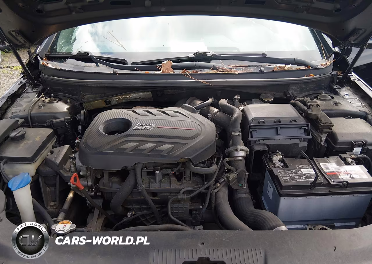 2017 Hyundai Sonata Sport 2.0T VIN:5NPE34AB0HH521478 - 10