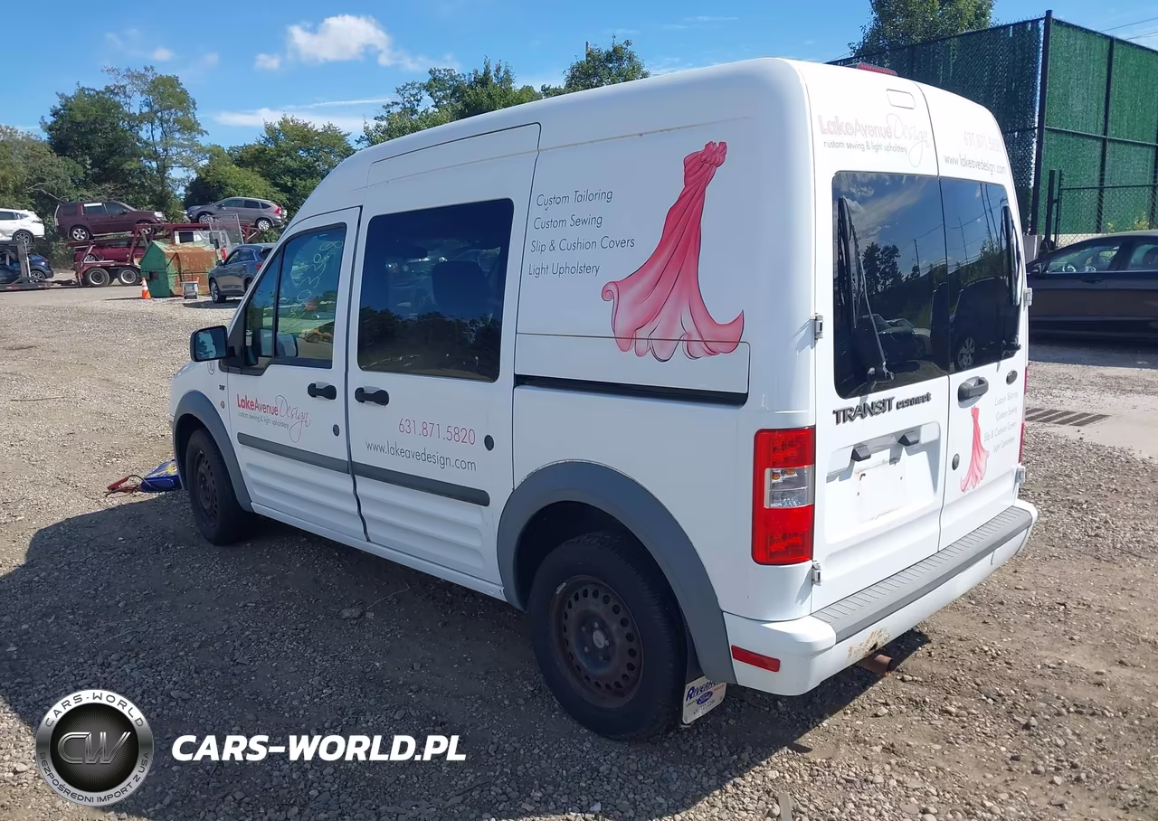 2010 Ford Transit Connect Xlt VIN:NM0LS6BN2AT031895 - 3