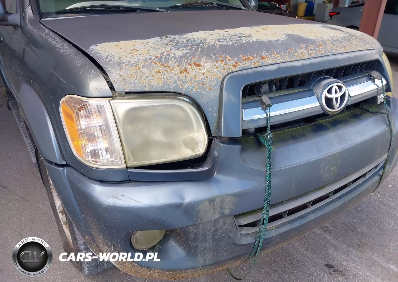 2006 Toyota Sequoia Limited V8 VIN:5TDZT38A16S274939 - 6