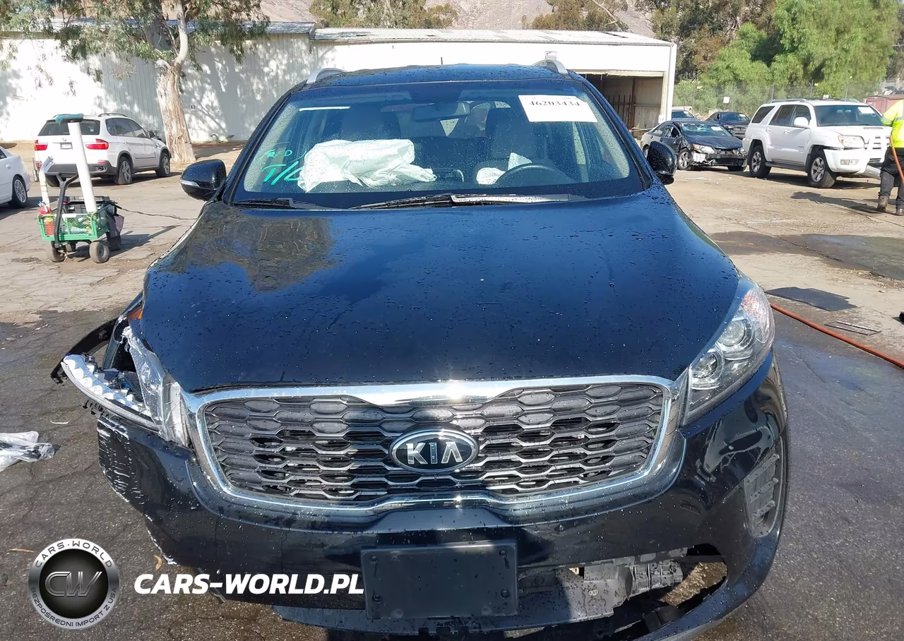 2020 Kia Sorento 2.4L Lx VIN:5XYPG4A38LG702897 - 13