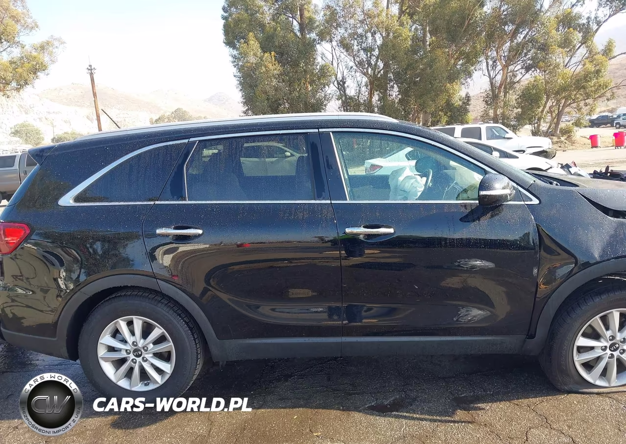 2020 Kia Sorento 2.4L Lx VIN:5XYPG4A38LG702897 - 14