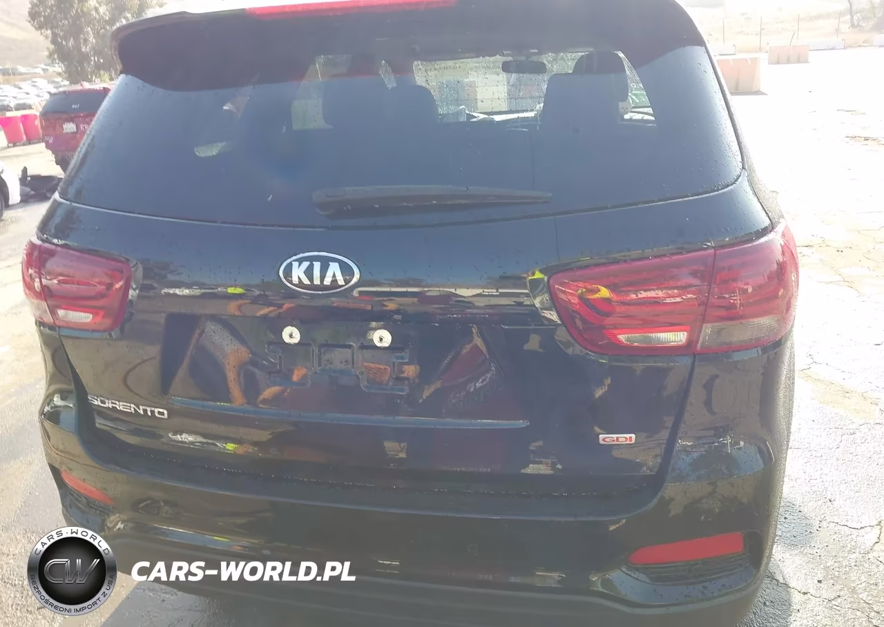 2020 Kia Sorento 2.4L Lx VIN:5XYPG4A38LG702897 - 17