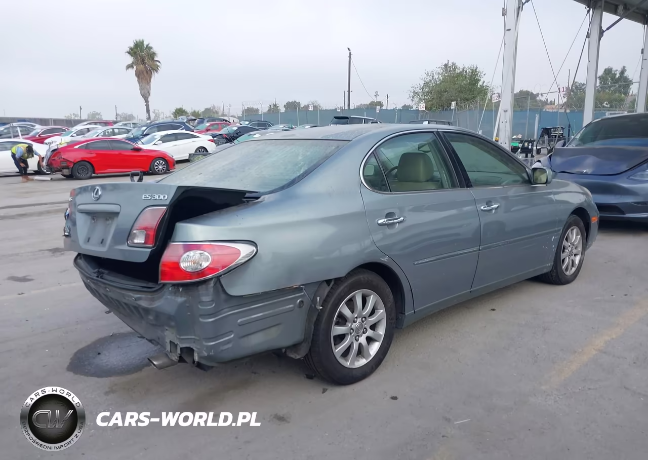 2002 Lexus Es 300 VIN:JTHBF30G820057439 - 4