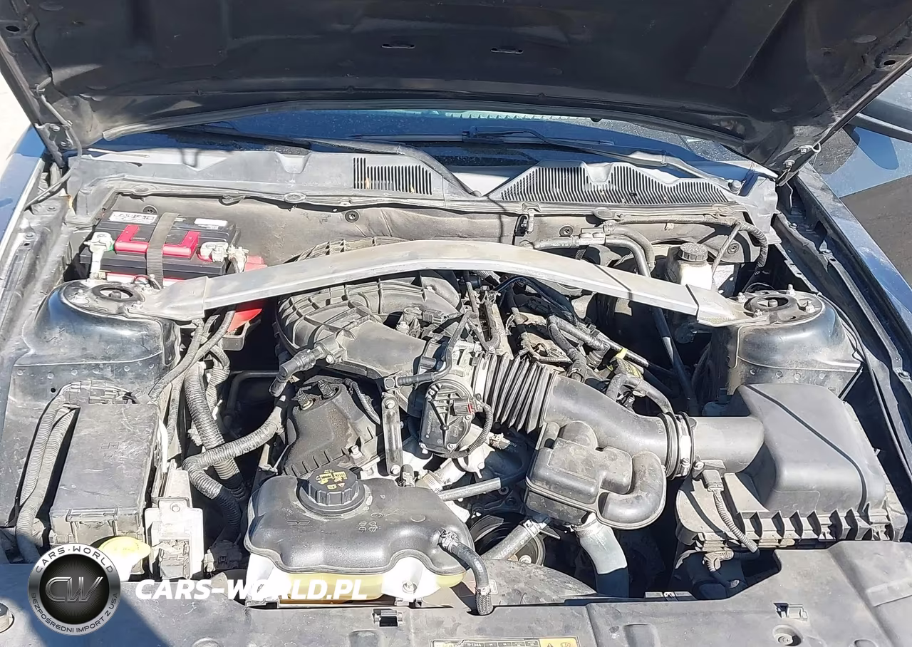 2014 Ford Mustang V6 VIN:1ZVBP8EM4E5267017 - 10