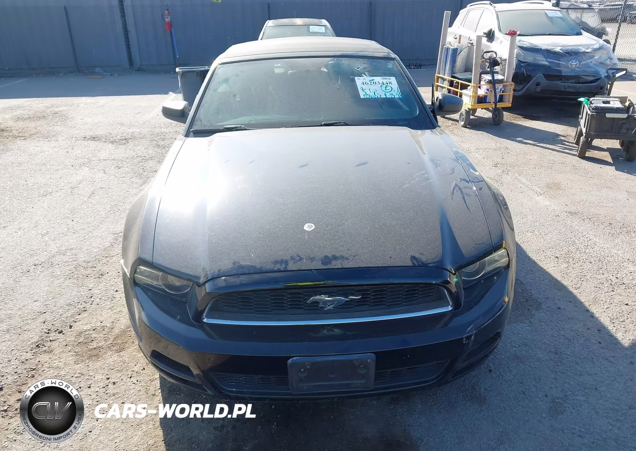 2014 Ford Mustang V6 VIN:1ZVBP8EM4E5267017 - 13