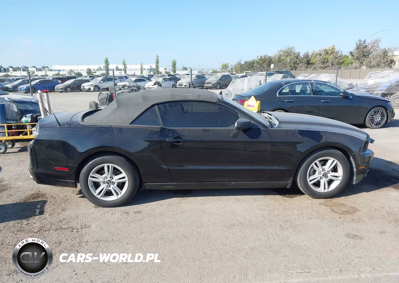 2014 Ford Mustang V6 VIN:1ZVBP8EM4E5267017 - 14