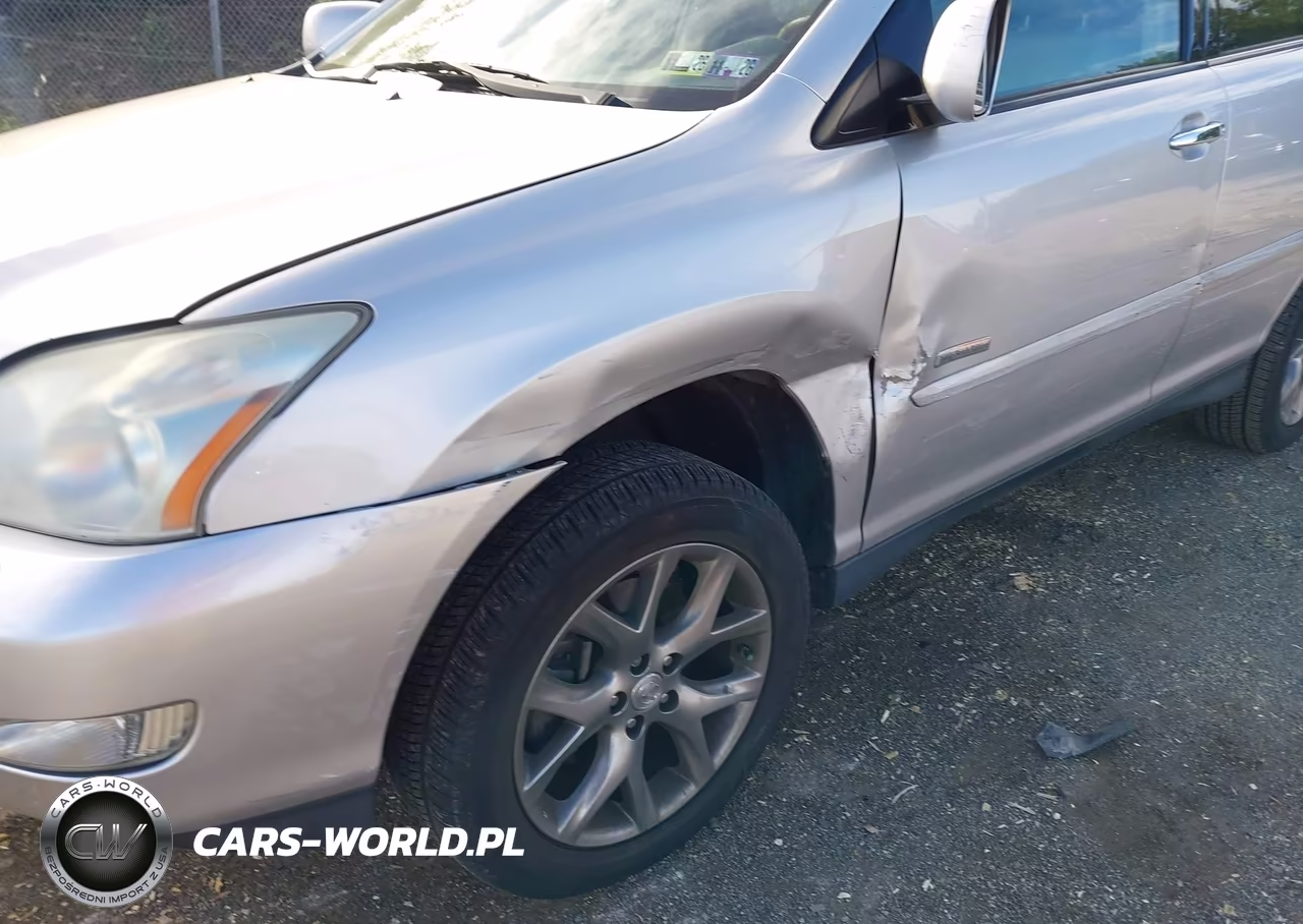 2009 Lexus Rx 350 VIN:2T2HK31U49C131205 - 6