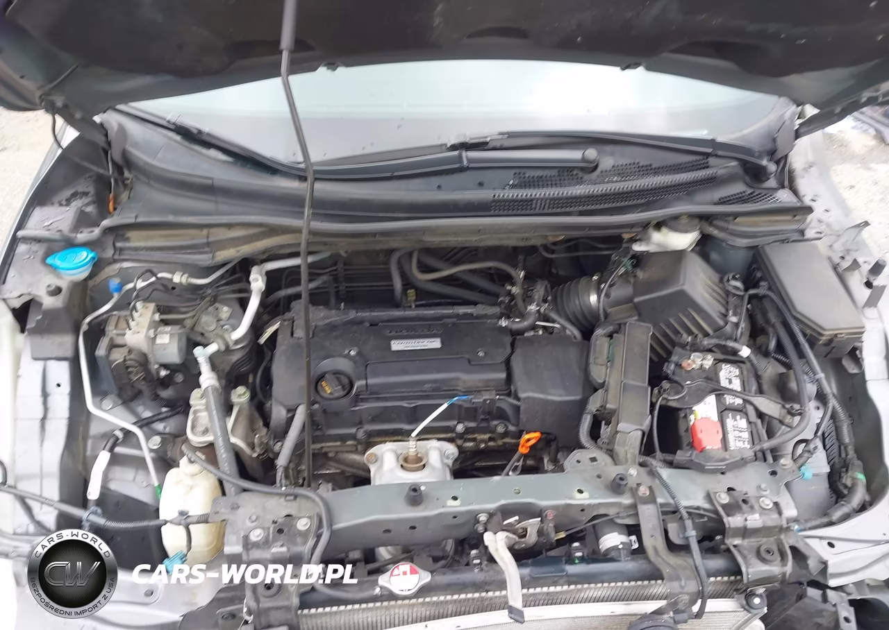 2016 Honda Cr-V Lx VIN:2HKRM3H31GH541213 - 10