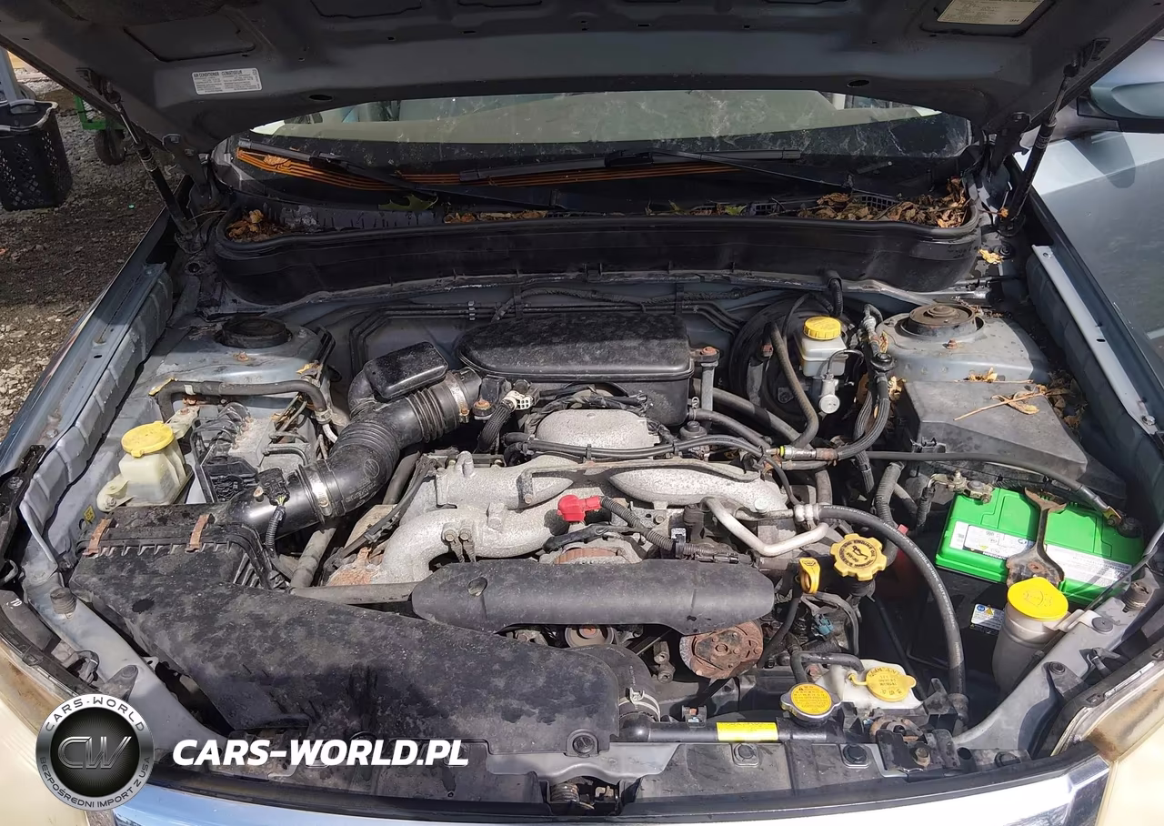 2010 Subaru Forester 2.5X Premium VIN:JF2SH6CC1AH900789 - 10