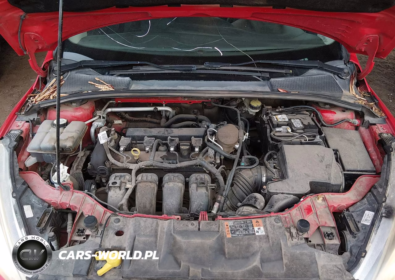 2015 Ford Focus Se VIN:1FADP3F29FL307686 - 10
