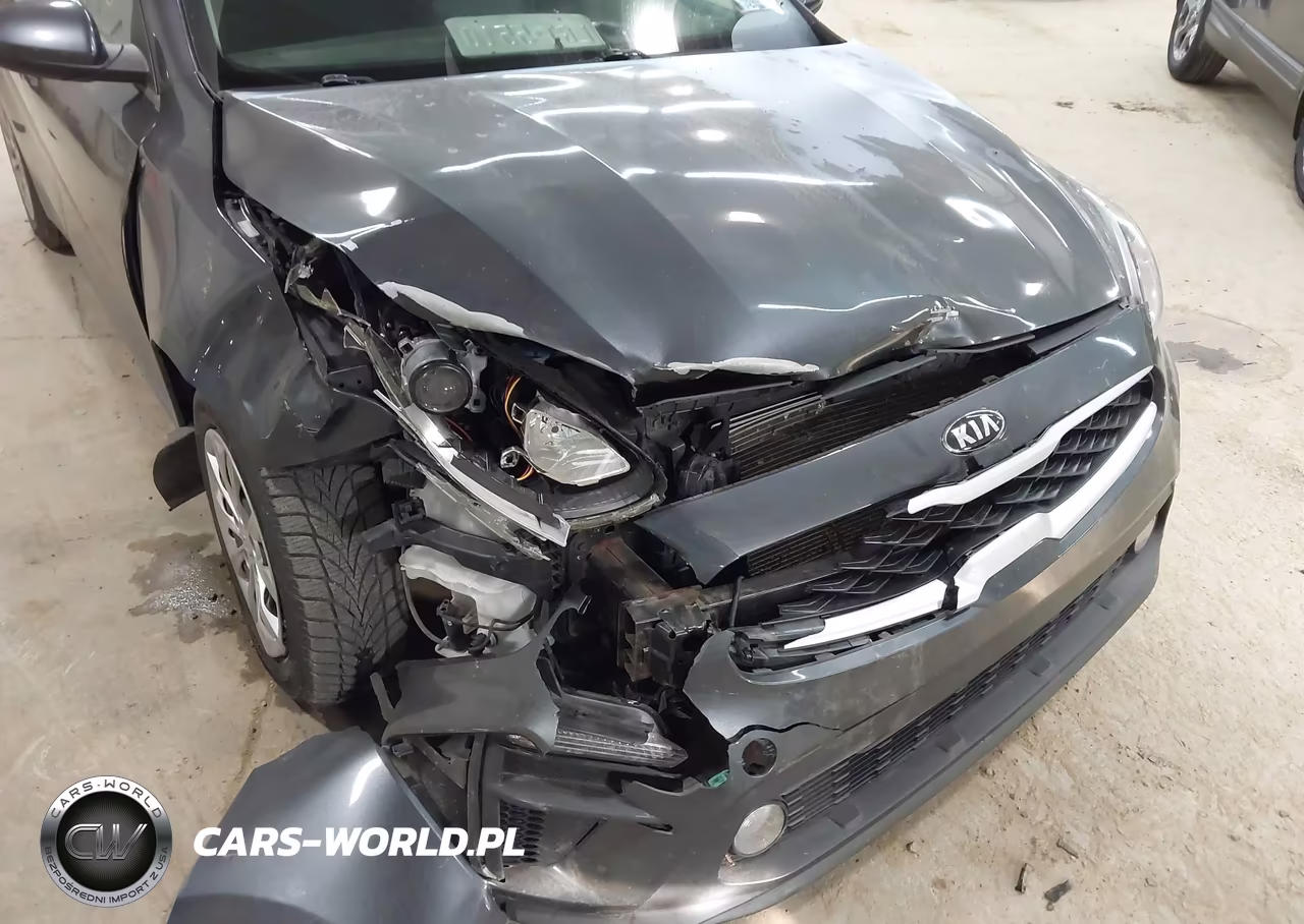 2021 Kia Forte Fe VIN:3KPF24AD0ME299015 - 6