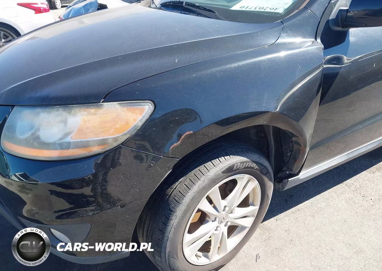 2010 Hyundai Santa Fe Se VIN:5NMSH4AGXAH358437 - 12