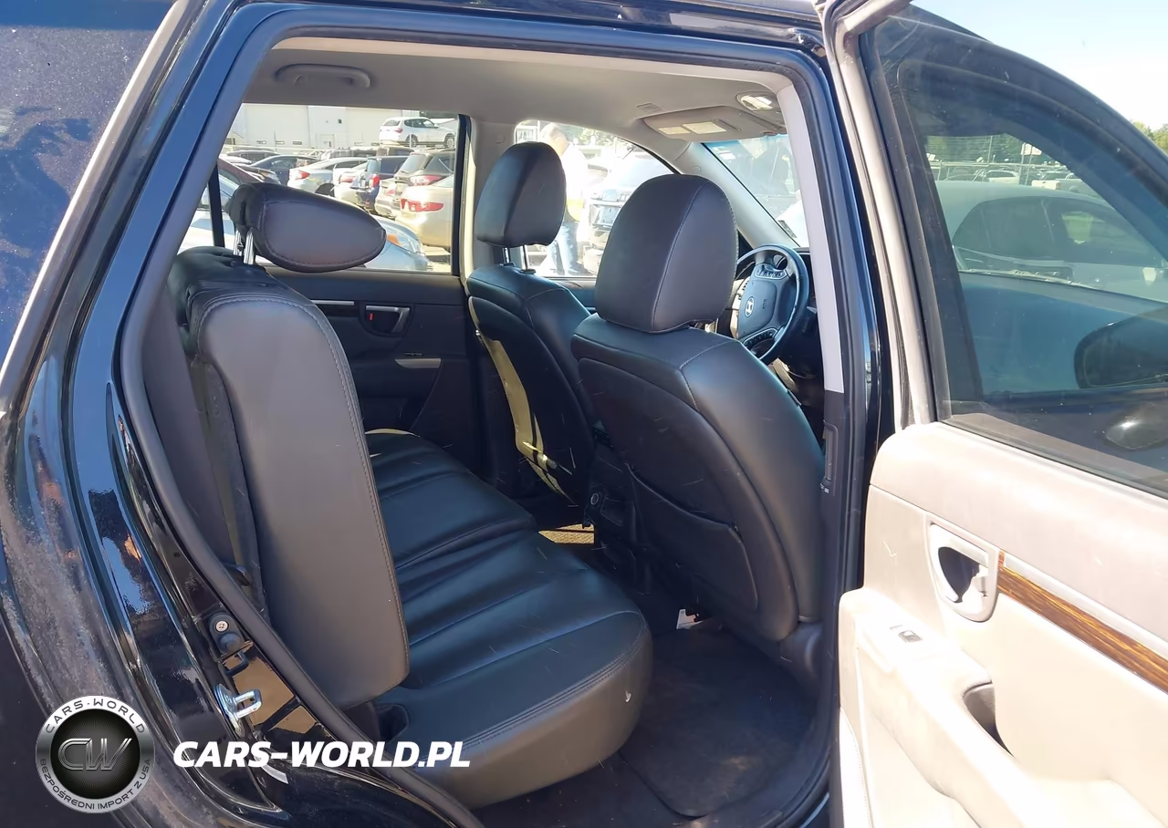 2010 Hyundai Santa Fe Se VIN:5NMSH4AGXAH358437 - 8