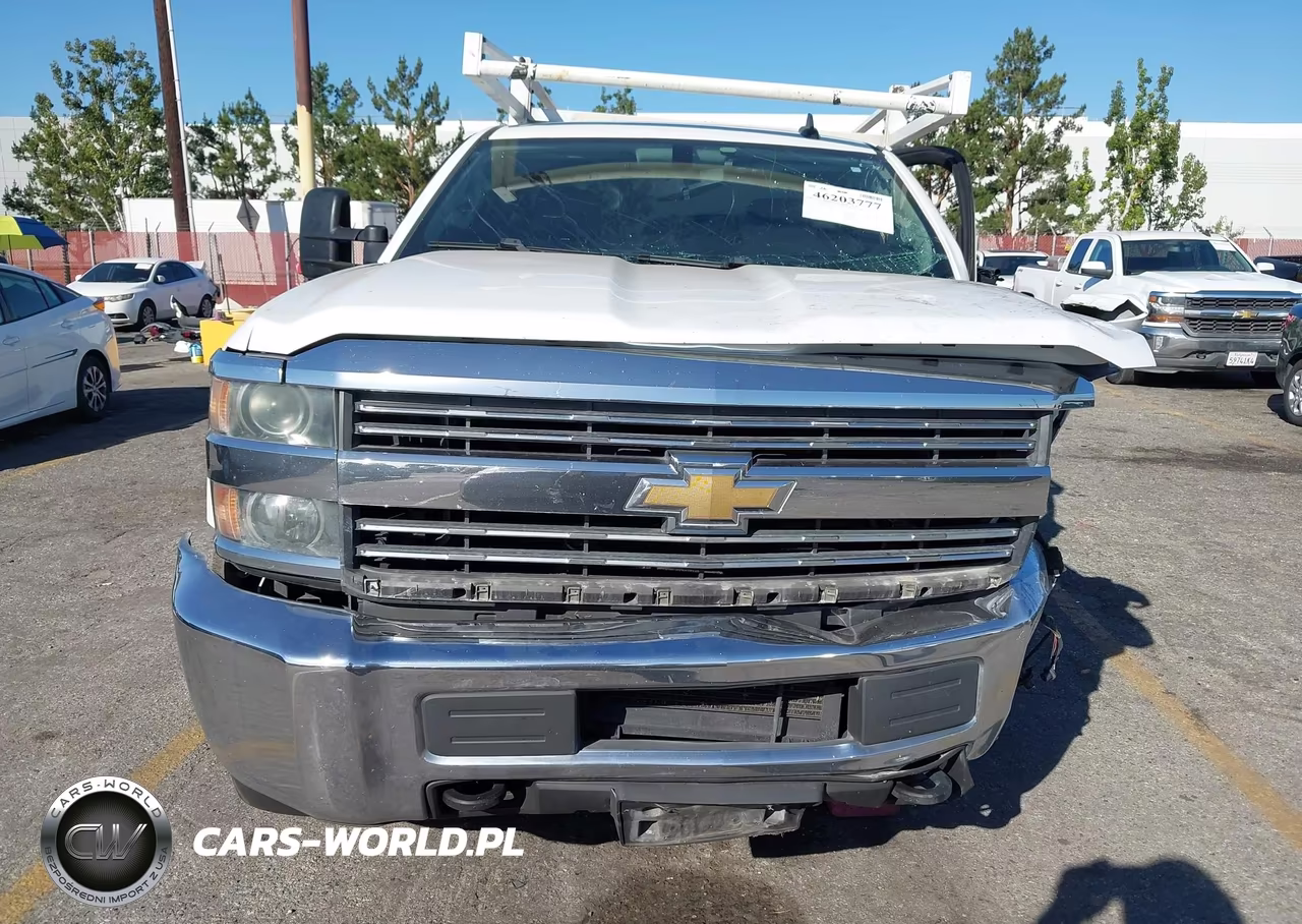 2016 Chevrolet Silverado 2500Hd Wt VIN:1GB0CUEG8GZ115282 - 13