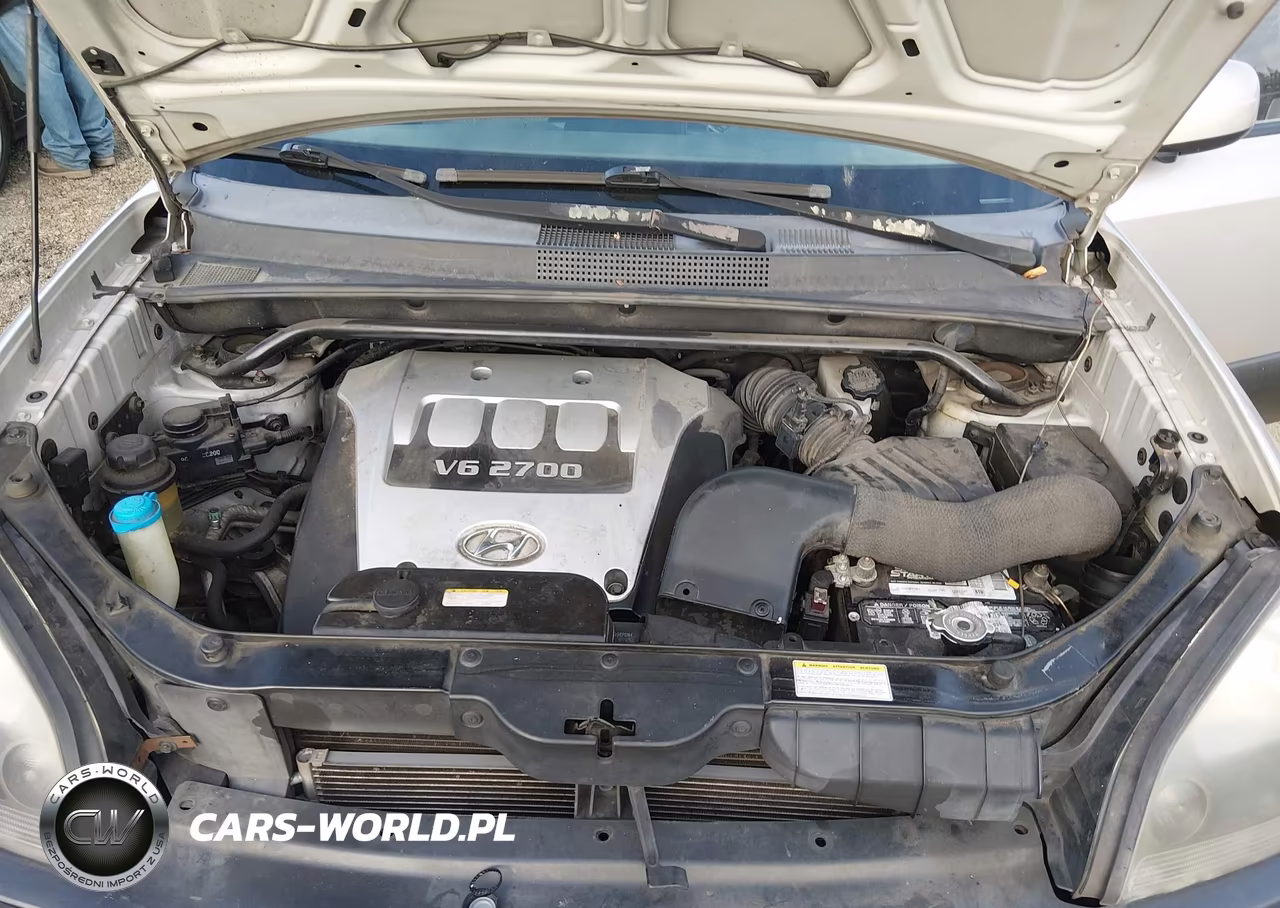 2005 Hyundai Tucson Gls-Lx VIN:KM8JN12D35U118874 - 10