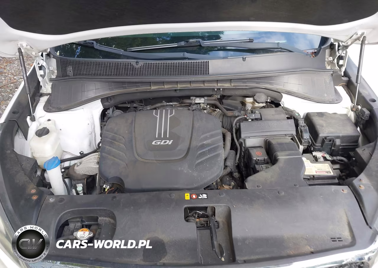 2017 Kia Sorento 3.3L Lx VIN:5XYPGDA52HG280666 - 10