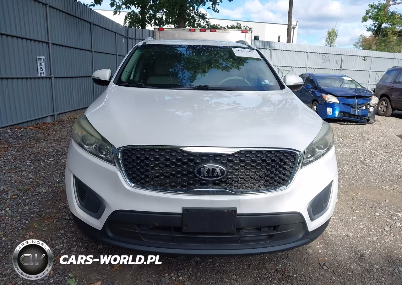 2017 Kia Sorento 3.3L Lx VIN:5XYPGDA52HG280666 - 12