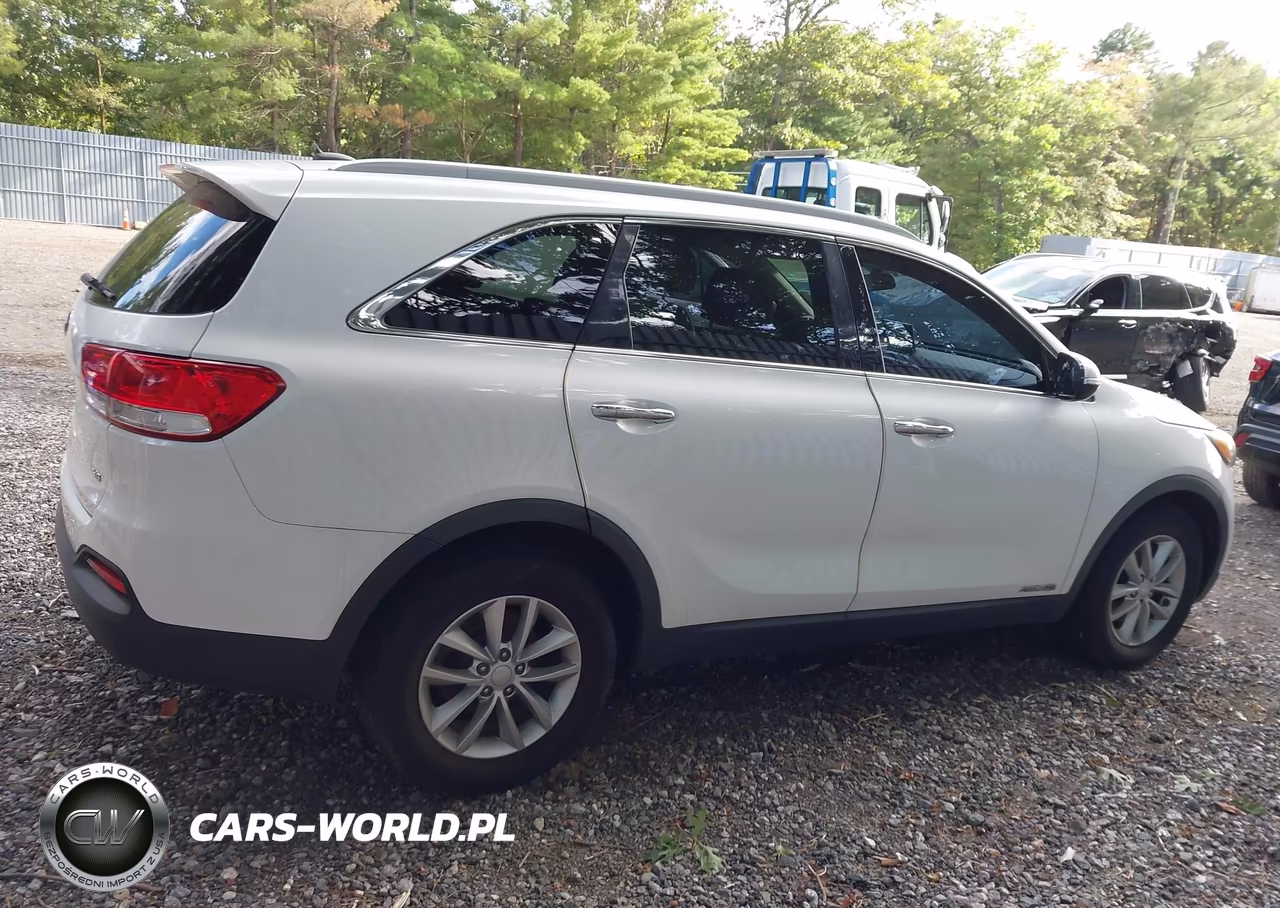 2017 Kia Sorento 3.3L Lx VIN:5XYPGDA52HG280666 - 13