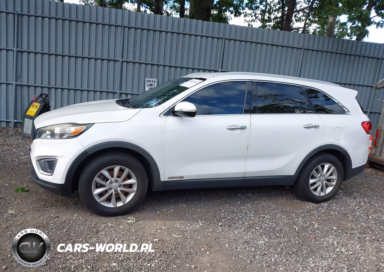 2017 Kia Sorento 3.3L Lx VIN:5XYPGDA52HG280666 - 14