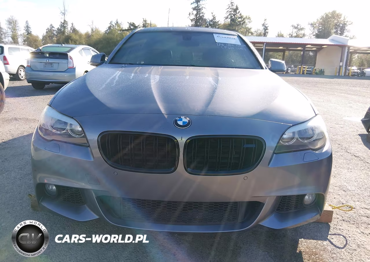 2013 BMW 5 Series 550I VIN:WBAFR9C56DDX81114 - 12