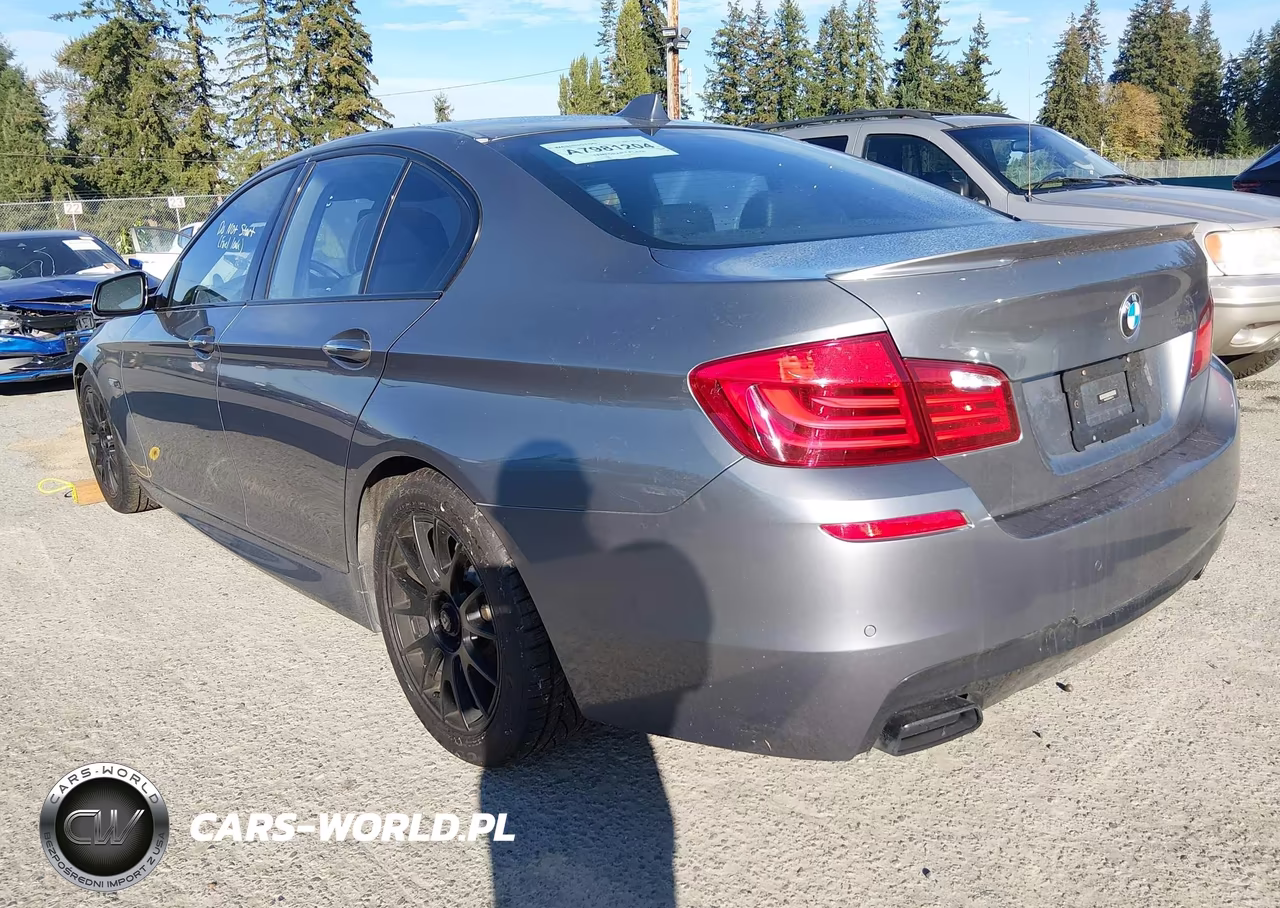 2013 BMW 5 Series 550I VIN:WBAFR9C56DDX81114 - 3