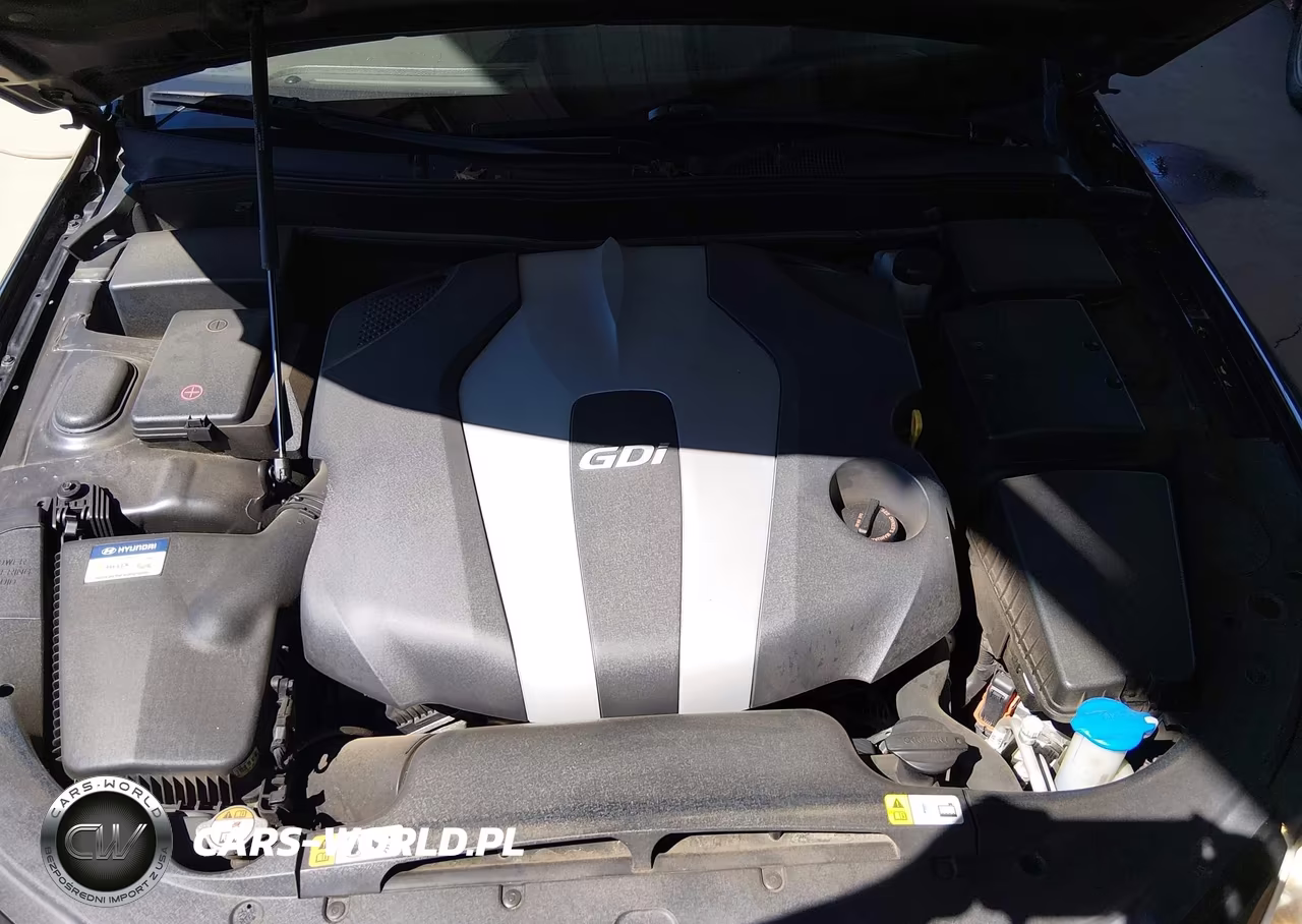 2014 Hyundai Genesis 3.8 VIN:KMHGC4DD2EU263581 - 10