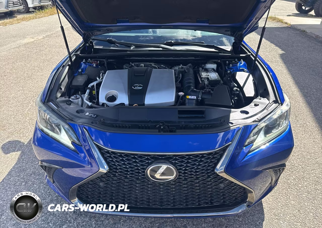 2019 Lexus Es 350 VIN:58ABZ1B15KU038110 - 10